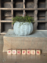 Load image into Gallery viewer, Concrete Moss and Twig Jack O lantern Pumpkin