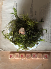 Load image into Gallery viewer, Concrete Moss and Twig Jack O lantern Pumpkin