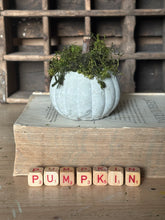 Load image into Gallery viewer, Concrete Moss and Twig Jack O lantern Pumpkin
