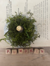 Load image into Gallery viewer, Concrete Moss and Twig Jack O lantern Pumpkin
