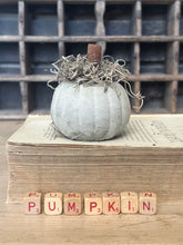 Load image into Gallery viewer, Concrete Spanish Moss and Cinnamon Stick Jack O lantern Pumpkin
