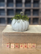 Load image into Gallery viewer, Concrete Moss and Twig Jack O lantern Pumpkin
