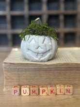 Load image into Gallery viewer, Concrete Moss and Twig Jack O lantern Pumpkin
