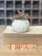 Load image into Gallery viewer, Concrete Spanish Moss and Cinnamon Stick Jack O lantern Pumpkin
