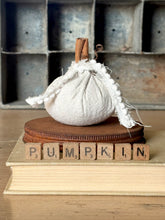 Load image into Gallery viewer, Tiny Vintage Chenille Pumpkins
