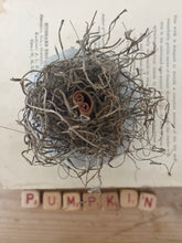 Load image into Gallery viewer, Concrete Spanish Moss and Cinnamon Stick Jack O lantern Pumpkin
