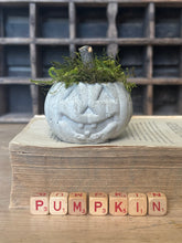 Load image into Gallery viewer, Concrete Moss and Twig Jack O lantern Pumpkin
