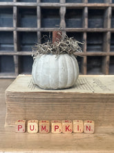 Load image into Gallery viewer, Concrete Spanish Moss and Cinnamon Stick Jack O lantern Pumpkin
