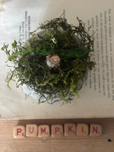 Load image into Gallery viewer, Concrete Moss and Twig Jack O lantern Pumpkin
