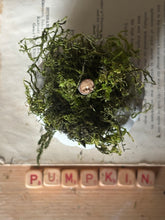 Load image into Gallery viewer, Concrete Moss and Twig Jack O lantern Pumpkin
