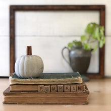 Load image into Gallery viewer, Cinnamon Stick Concrete Pumpkin
