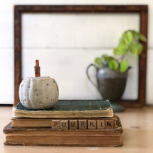 Load image into Gallery viewer, Cinnamon Stick Concrete Pumpkin
