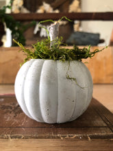 Load image into Gallery viewer, Concrete Moss and Twig Jack O lantern Pumpkin
