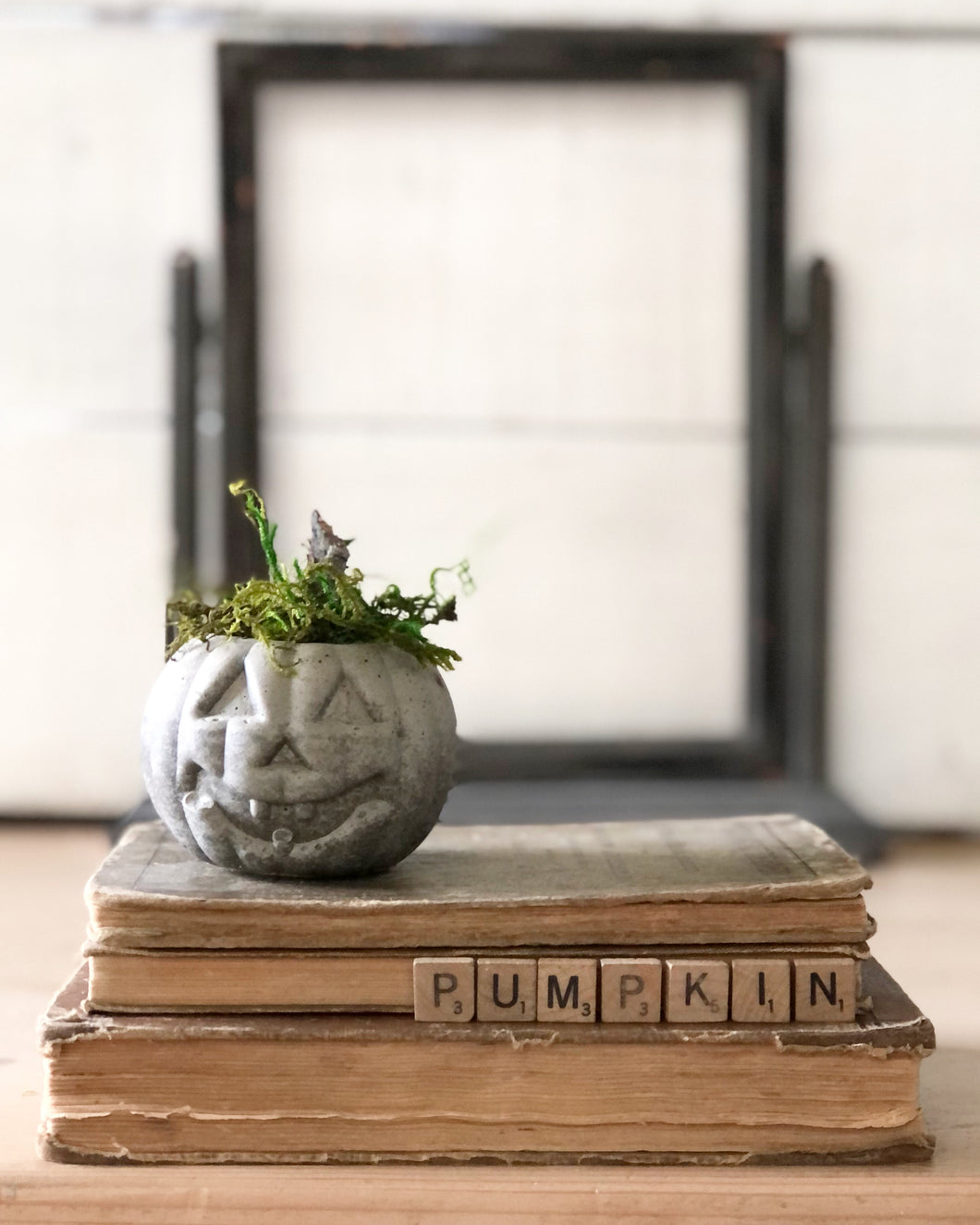 Concrete Moss and Twig Jack O lantern Pumpkin