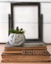 Load image into Gallery viewer, Concrete Moss and Twig Jack O lantern Pumpkin
